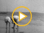 Vacances à La Baule (5:17) - 1930